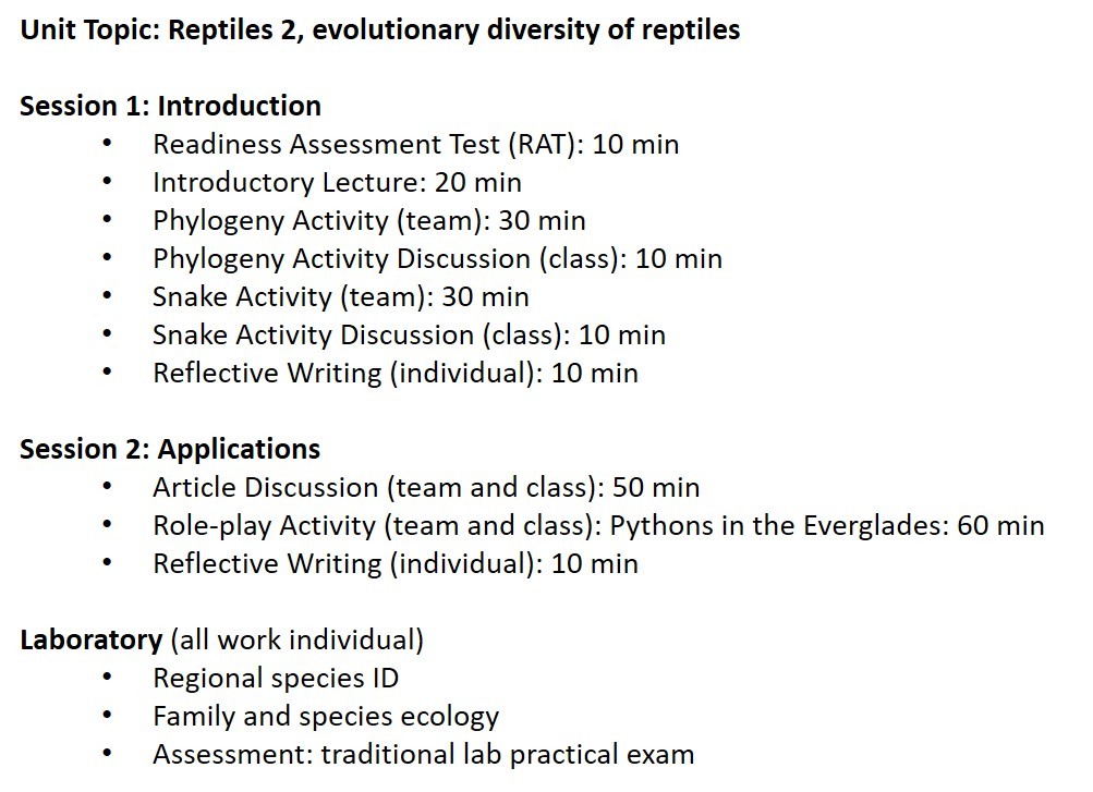 No alt text provided for this image