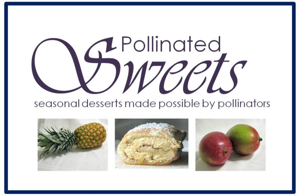cover image for book "pollinated sweets: seasonal desserts made possibly by pollinators," copyright Athena Rayne Anderson