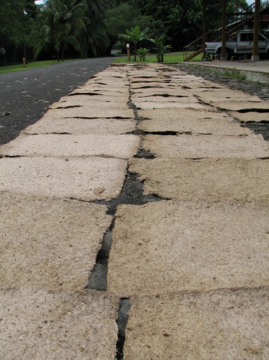 banana pulp sheets drying, costa rica, copyright athena rayne anderson