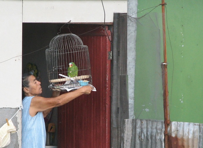 woman with parrot, costa rica, copyright athena rayne anderson