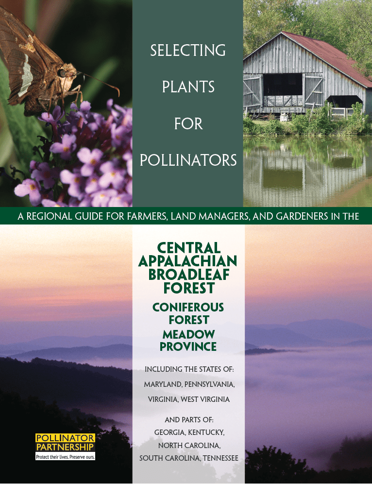 Gardening for Pollinators