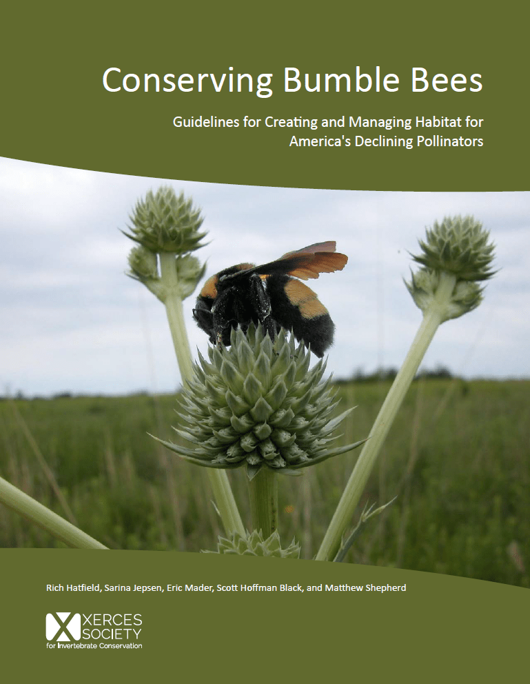 Free Resources: Conserving Bumble&nbsp;Bees