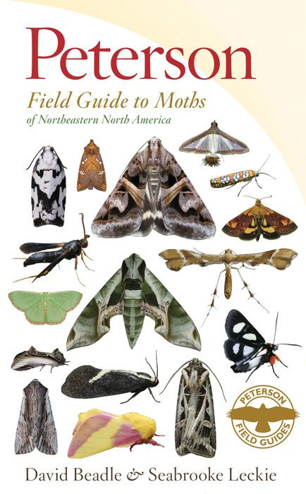Pollinator Books: Peterson Field Guide to Moths of Northeastern North&nbsp;America