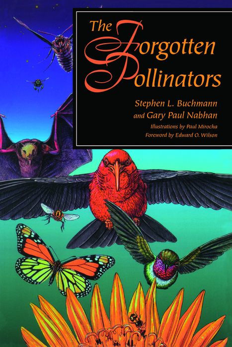 Pollinator Books: The Forgotten&nbsp;Pollinators