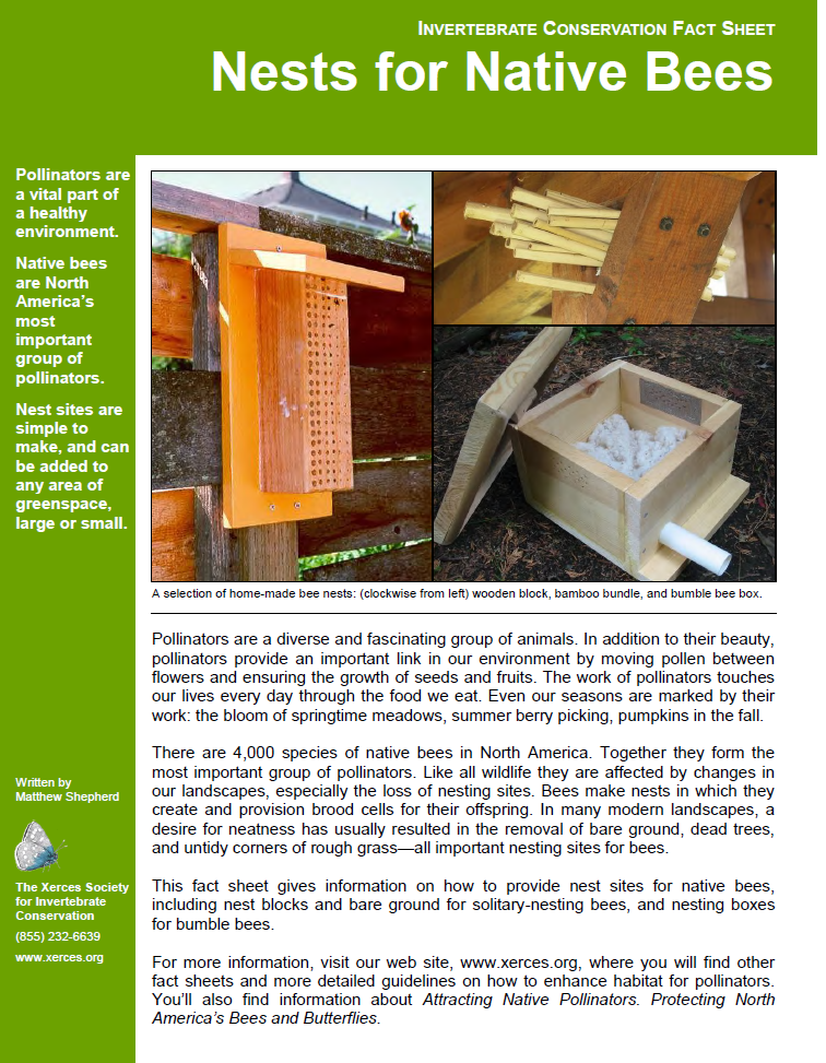 Free Resources: Nests for Native&nbsp;Bees