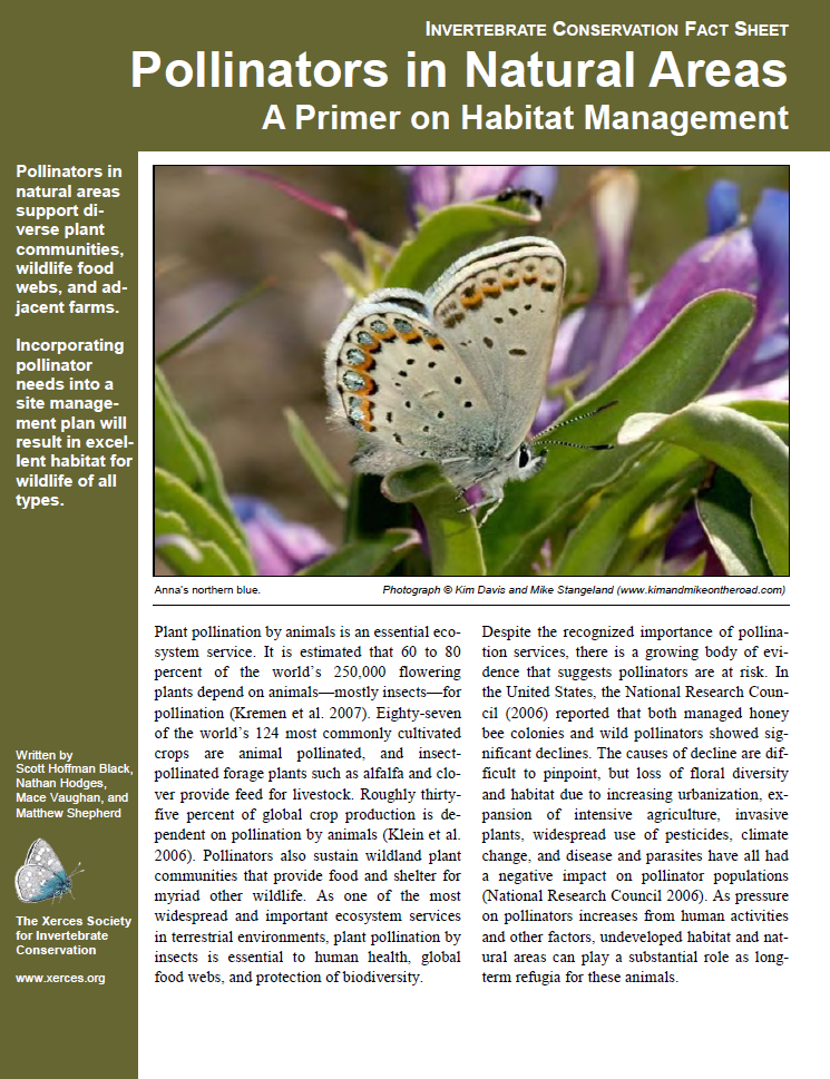 Free Resources: Pollinators in Natural&nbsp;Areas